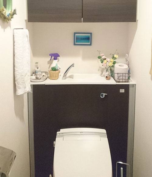 トイレの上部とトイレタンクの左右など、細かな部分を収納スペースとして活用。過不足ない広さと収納量で、バータイプの操作盤も使いやすいそう。