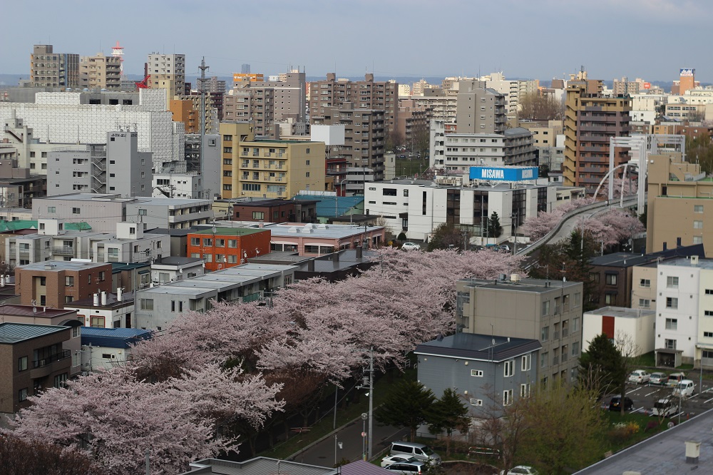 マンションのすぐ近くに、桜の名所として知られている「白石こころーど（旧白石サイクリングロード）」があり、春は桜を、秋は紅葉を楽しめる。
