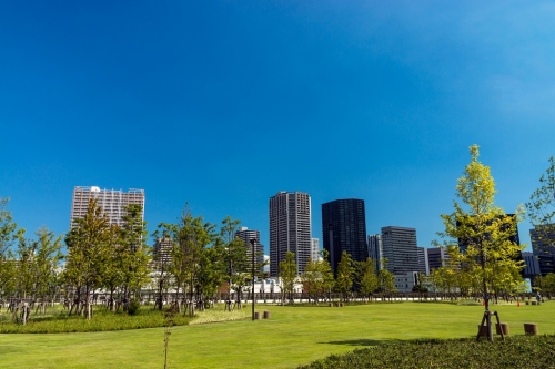 芝浦中央公園の芝生広場