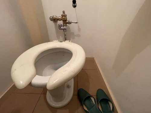 洋式の水洗トイレ
