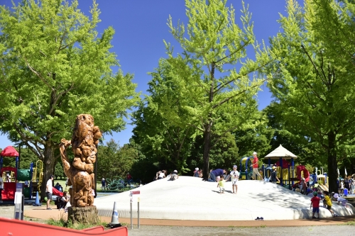 国営昭和記念公園の「ふわふわドーム」